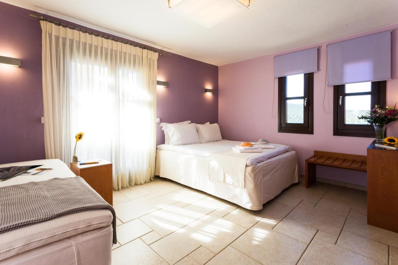Helianthus Guesthouse アムリアニ エクステリア 写真
