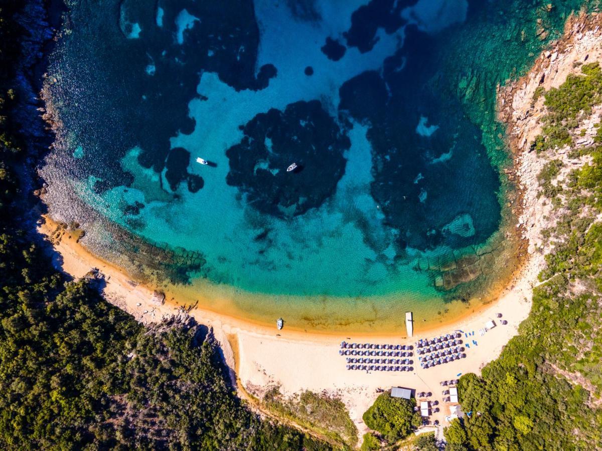 Helianthus Guesthouse アムリアニ エクステリア 写真