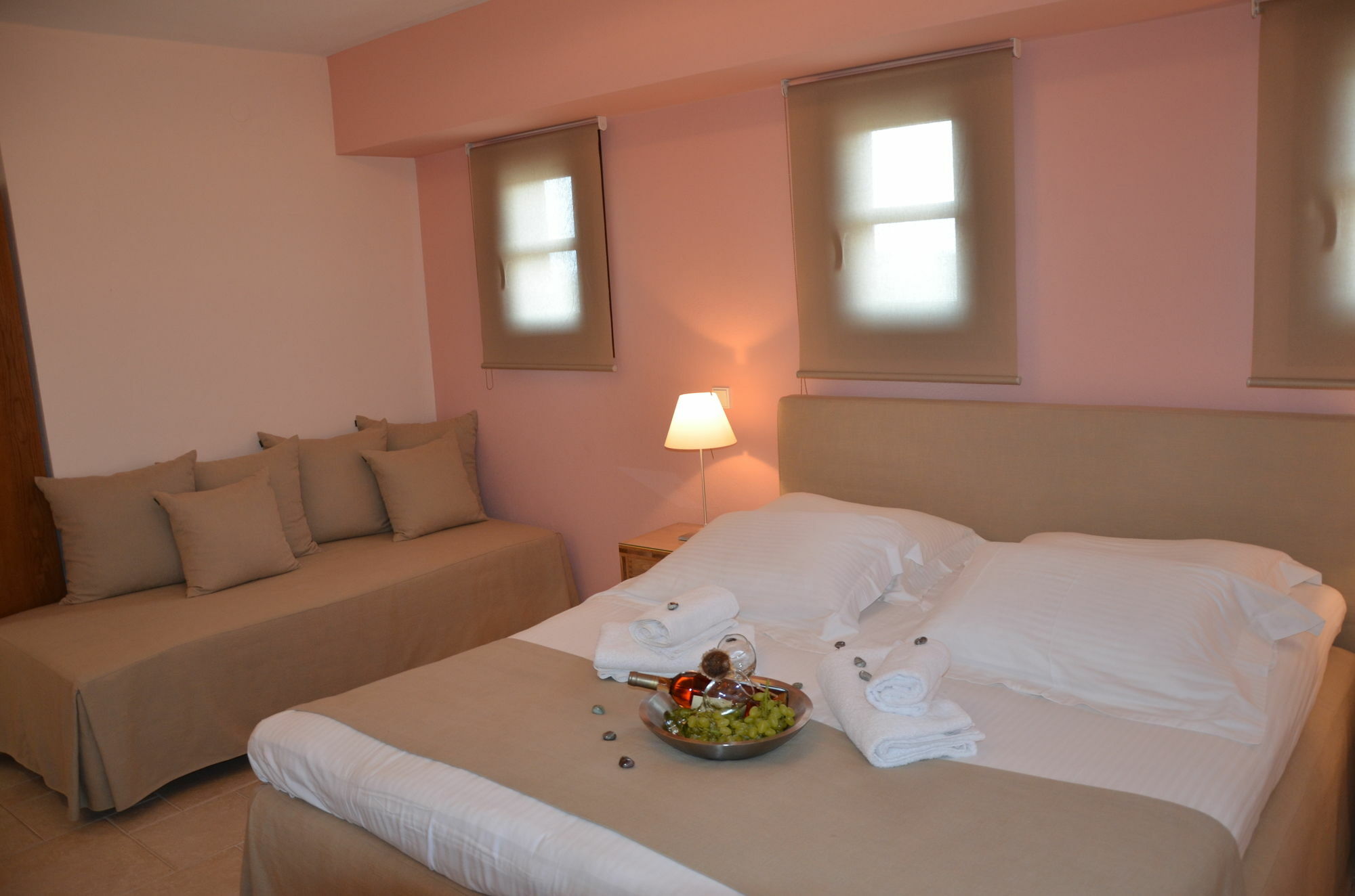 Helianthus Guesthouse アムリアニ エクステリア 写真
